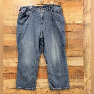 Judy Blue Straight Leg Women’s Denim Jeans Size 20W